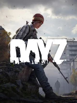 DayZ, обложка